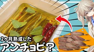 2ヶ月熟成したけど多分失敗した自家製アンチョビで作るバーニャカウダ＆娼婦風パスタ【VOICEVOX春日部つむぎ】