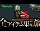 【全アイテム集め旅】建物を作るための建材を作りつつ頭で花を育て始めた作業動画【テラリア】DAY56
