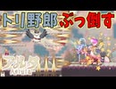 因縁のクソバードをぶっ倒す準備が整ったぜ！【Aeruta】#16