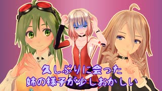 ソフトウェアトーク劇場『久しぶりに会った姉の様子が少しおかしい』
