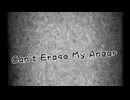 Can't Erase My Anger