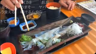 【おったん】イカの活造りで生きてるイカにわさび醤油を与える　味は脅威の10点【ニコ生】