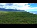 Tropical rainforest