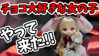 シュガーカップスのチョコレート大好きしっかり者のお姉さんが新メンバーとしてやってきたよ！！