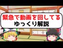 緊急で動画を回してるゆっくり解説