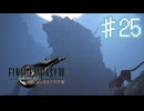 戦士セトとその息子【ファイナルファンタジー７リバース】＃２５
