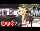 伊地知ニジカ聖地巡礼　奈良編