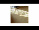 【吹っ切れた僕達が】天国  歌ってみた /ぬこゆ×Gänger