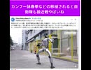 カンフー詠春拳などの移植されると自衛隊も接近戦やばいね　自衛隊ロボは合気道かにゃ?