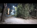 山城しんごの城めぐり　市指定史跡　小金城(千葉県松戸市　夜戦)