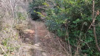 山城しんごの城めぐり　市指定史跡　石堂城(千葉県南房総市)