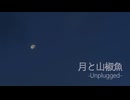 和楽器METALPROJECT／月と山椒魚Unplugged