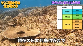 サンゴ礁を作る生き物と歴史を解説