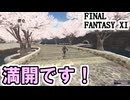 【FF11】お花見！☆春イベント☆ひなまつり２０２５＿＿カッパのヴァナ・ディール生活