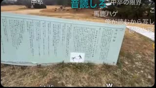 【おったん】おったん巌流島に行く！【ニコ生】