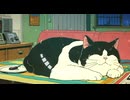Lo-Fi BGM｜A wistful light that lingers in the heart｜心に残る切ない光