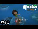 オタマジャクシを釣ろう【Hokko Life】実況プレイpart10