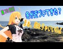 釣り動画ロマンを求めてN 70釣目