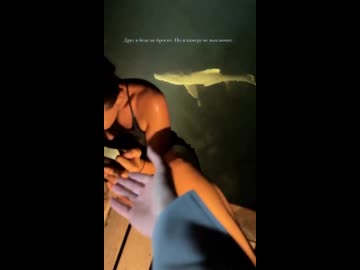 女vsサメが泳いでいる海