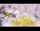 【オリジナル】さよならの向こう側