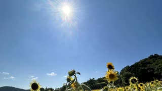 夏空