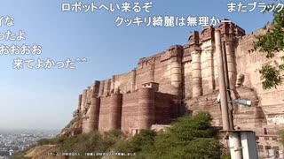 ミュートさんインド7日目、メヘラーンガル城を観光する