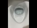 76248503726__77D14BFD-CFDF-4C8E-A159-E33B508231EB