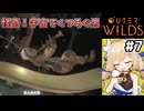 [Outerwilds] 巨人の大海③　こんな呑気な人がまぁまぁ重要人物 #7 [ずんだもん実況]