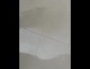 76248861166__AD82F982-A6A0-4380-93CA-ED7F149C5F0E