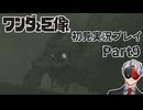 【Vtuber】初見で挑む「ワンダと巨像」実況プレイ part9