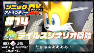 初見でマキのソニックアドベンチャーDX＃14