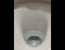 76249437226__AA4D519D-24A3-4CD1-BFB3-CC9B5113F659