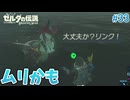 【ゼルダの伝説BotW】初めてのブレワイ！折れない心で未知の世界へ！#33【実況】