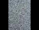 76249822271__542E9F9E-33A2-4DB2-9414-2037B35436F2