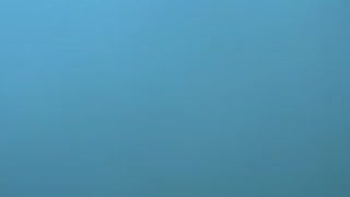 76250061417__A41E668D-D3C5-4517-8CE8-CD4D6D72E745