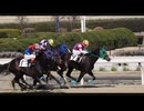 2025年2月28日_浦和競馬_2R_浦和800ラウンド