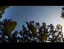 Chiyuri NAGAYAMA presents✨✨癒しの絶景・ヨガ・DIY！心と体に優しい映像✨✨
