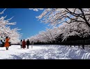 Chiyuri NAGAYAMA presents✨✨癒しの絶景・ヨガ・DIY！心と体に優しい映像✨✨