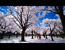 Chiyuri NAGAYAMA presents✨✨癒しの絶景・ヨガ・DIY！心と体に優しい映像✨✨