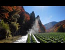 Chiyuri NAGAYAMA presents✨✨癒しの絶景・ヨガ・DIY！心と体に優しい映像✨✨