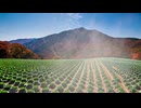 Chiyuri NAGAYAMA presents✨✨癒しの絶景・ヨガ・DIY！心と体に優しい映像✨✨