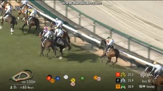 2025 阪神リニューアル記念 (3勝クラス)　ハヤテノフクノスケ