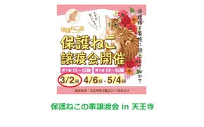 保護ねこの家譲渡会 in 天王寺