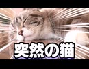 【重音テト】テレパシをサビだけアレンジしてみた【オマケもあるよ】