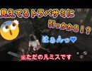 dbd　…っは？