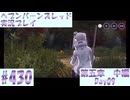 【ヘブンバーンズレッド】ボケ5：ツッコミ1 で未知の敵に挑む！#430【実況プレイ】
