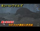 モンハンワイルズ　ウズ・トゥナ素材入手方法　襲い来る波衣　＃４８　【モンスターハンターワイルズ】