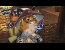【MHWilds】オトモアイルー(タイプ1 CV:木野日菜) サイドミッション集