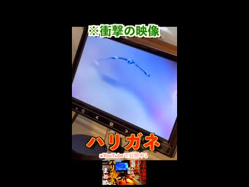 ※衝撃の映像「ハリガネ」その３（左手の薬指の中）
