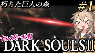 【DARK SOULS II】数年ぶりにカンスト世界（9週目）ドラングレイグを練り歩くpart1【ダークソウル2（ハイスペ版）】